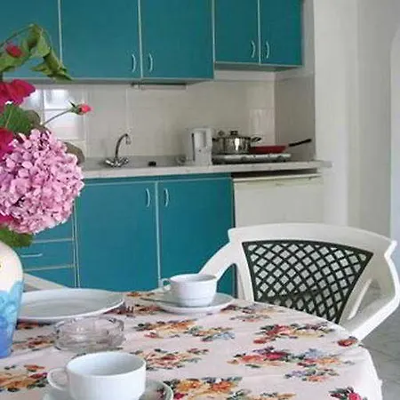 Rayon マルマリス